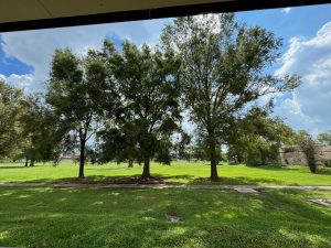 LSU Innovation Park "quad" area