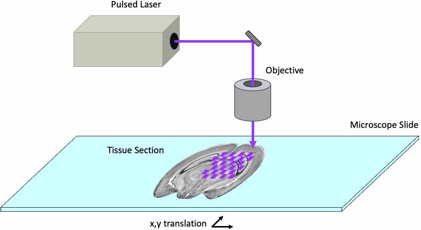 NIH Award: Photochemical Tissue Modification for MALDI Mass Spectrometry Imaging