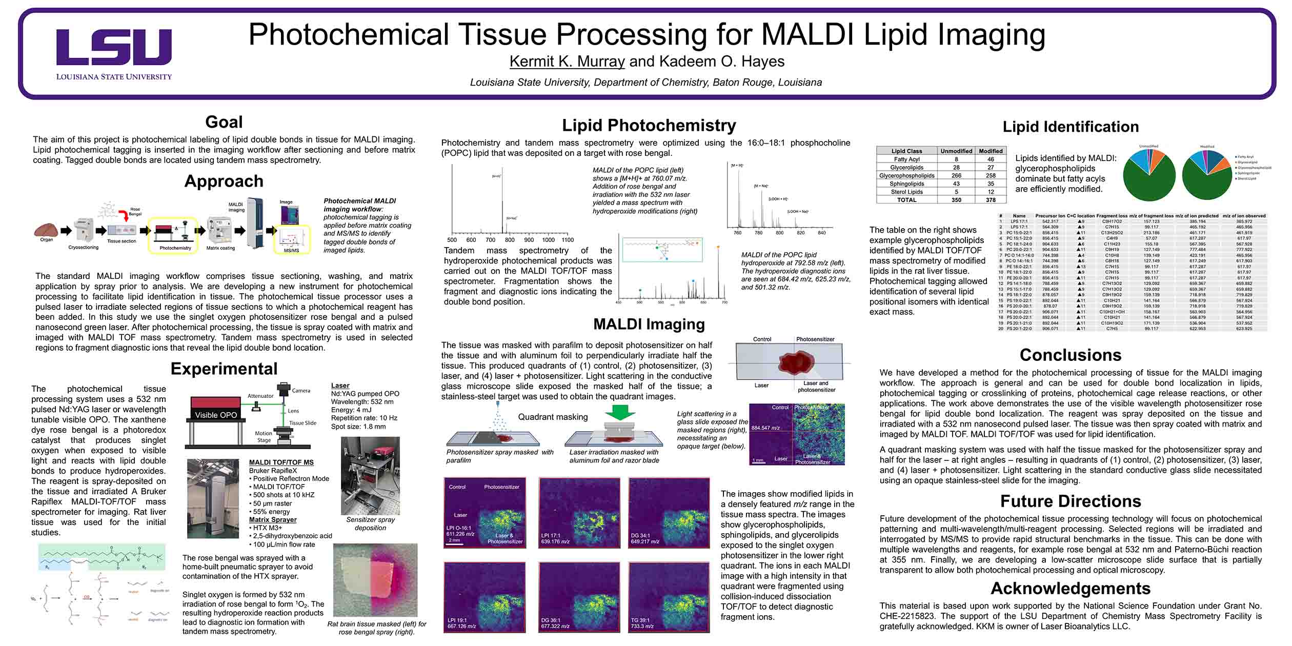Photochemical Tissue Processing for MALDI Lipid Imaging