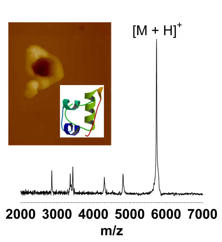 Tip-enhanced laser ablation for biomolecule mass spectrometry